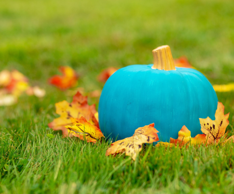 a blue pumpkin sits in a grass field
