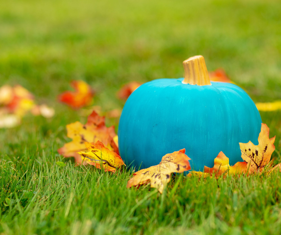 a blue pumpkin sits in a grass field